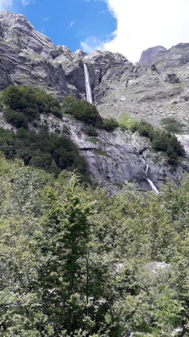 A Cordon Entre Bois Et Nature Exterior photo